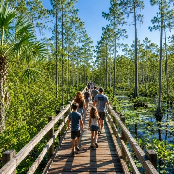 Group of People Exploring a Nature Preserve in Southwest Florida