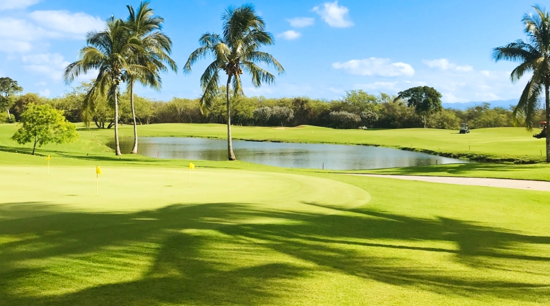 Golf Course with Pond and Coconut Palms